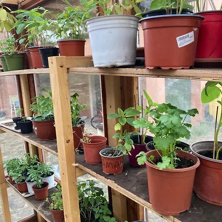 Kokkini Peach House Kokkínion