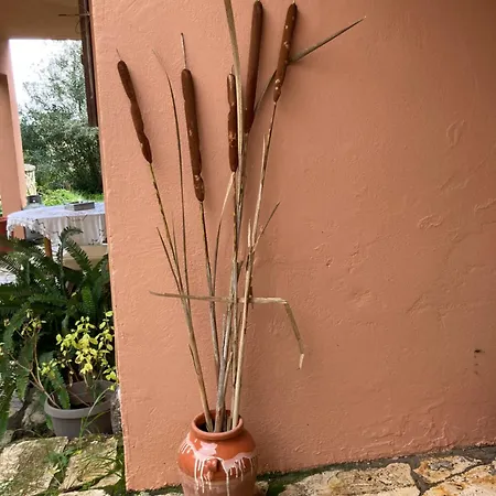 Kokkini Peach House